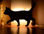 Voice-Controlled Night Light, Silhouette & Projector Lamp