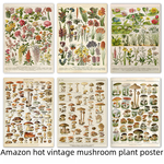 Vintage Mushroom Biology Poster Canvas Wall Art