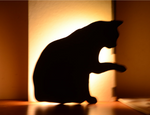Voice-Controlled Night Light, Silhouette & Projector Lamp