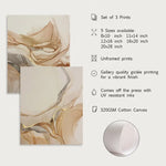 3pcs Boho Modern Abstract Wall Art Canvas Set