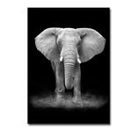 Modern Black and White Animal Canvas Wall Art