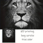 3pcs Animal Canvas Wall Art for Living Room Decor